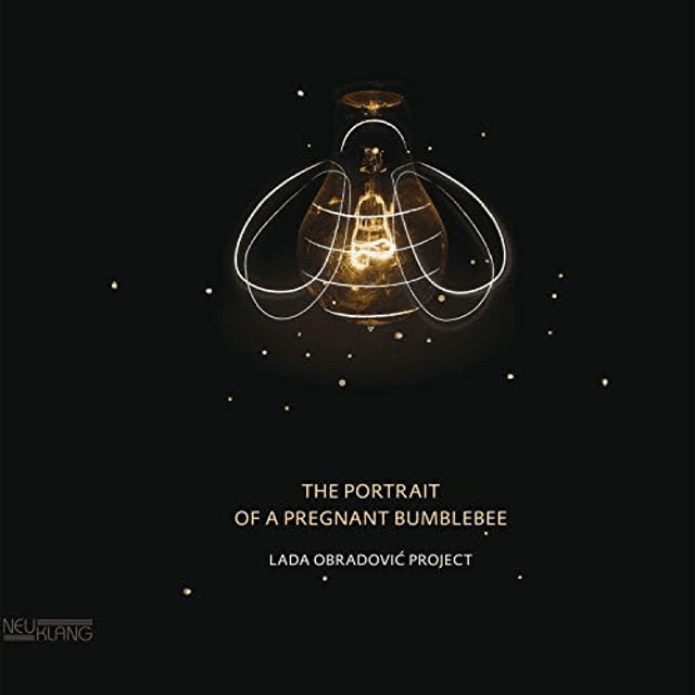 Lada Obradovic Project | The Portrait of a Pregnant Bumblebee